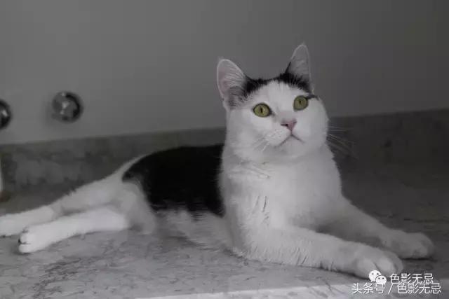 尼康d850数码单反摄影圣经,尼康d850的深度评价