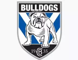 英国斗牛犬有多厉害,英国斗牛犬为什么凶猛