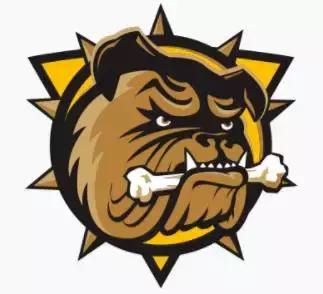 英国斗牛犬有多厉害,英国斗牛犬为什么凶猛