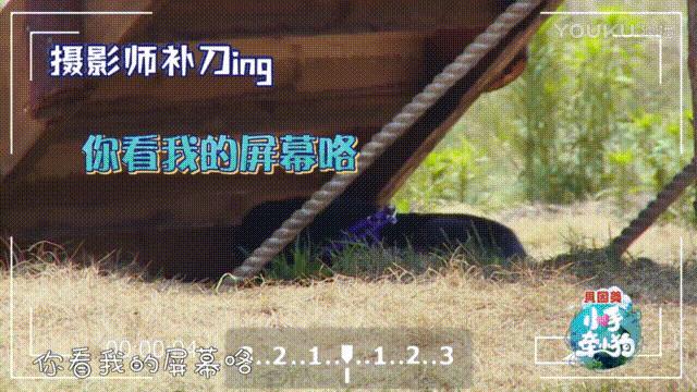 罗志祥小手牵小狗,小手牵小狗2018罗志祥