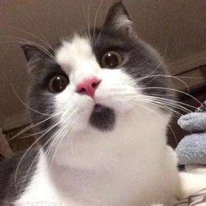 那些网红护肤爆款没有想象中好用，你中招了几个？