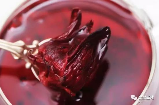 送花别弄混了月季和玫瑰 (玫瑰跟月季我和她你分得清吗)