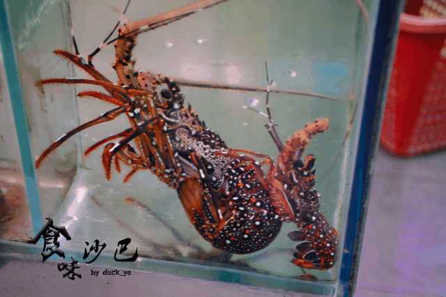 这个地方海鲜很便宜,海边好吃又实惠的海鲜