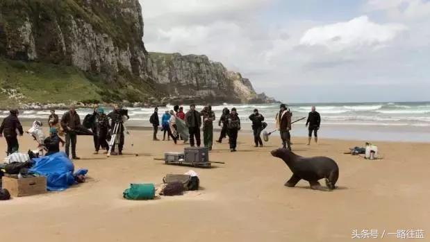 新西兰南岛电影取景,新西兰南岛海边取景地