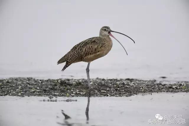 关于尼康d850的一些问答,尼康d850买回来怎么打开