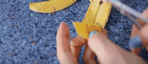 果皮肥料种花时放多少 (什么肥能促进盆栽开花结果)