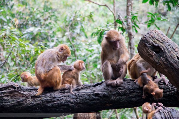 鏅幢椴滀负浜虹煡,鏅幢浣犱笉鐭ラ亾鐨勪簨