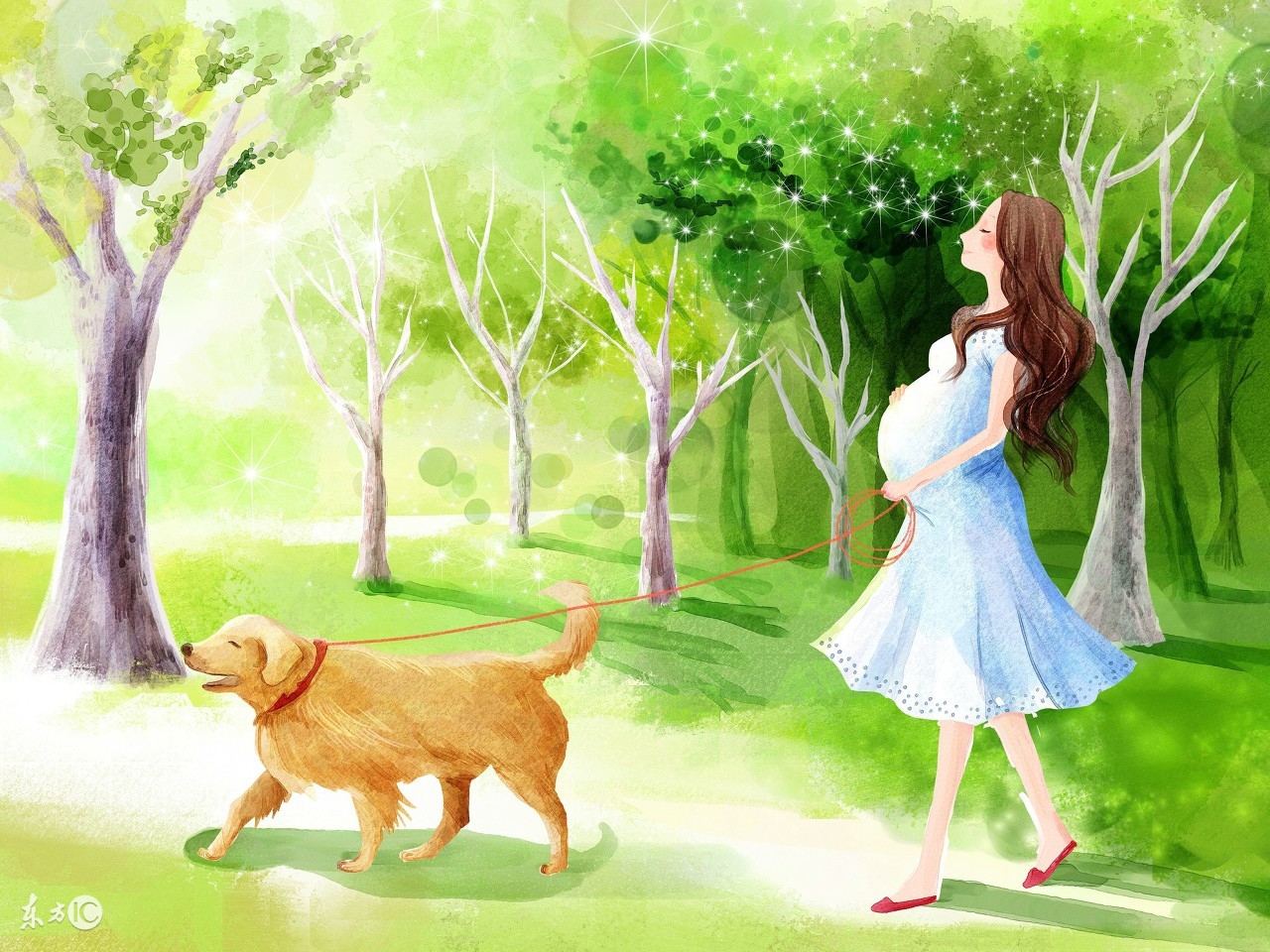 孕妇被蚊子咬了怎么止痒,孕妇被狗咬了怎么办