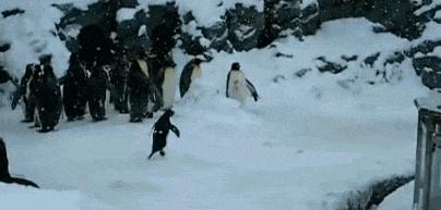 王者荣耀登上别人的号怎么退回来,王者荣耀登别人的号授权失败