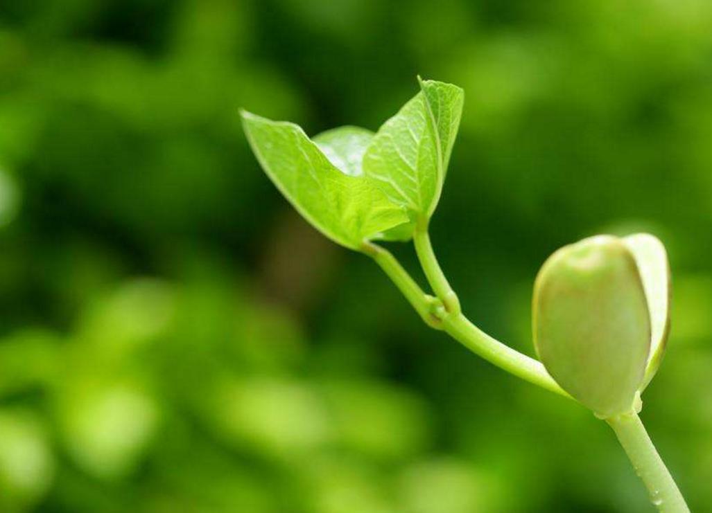 被人欺负该如何正确应对,对付被人欺负最好的方法