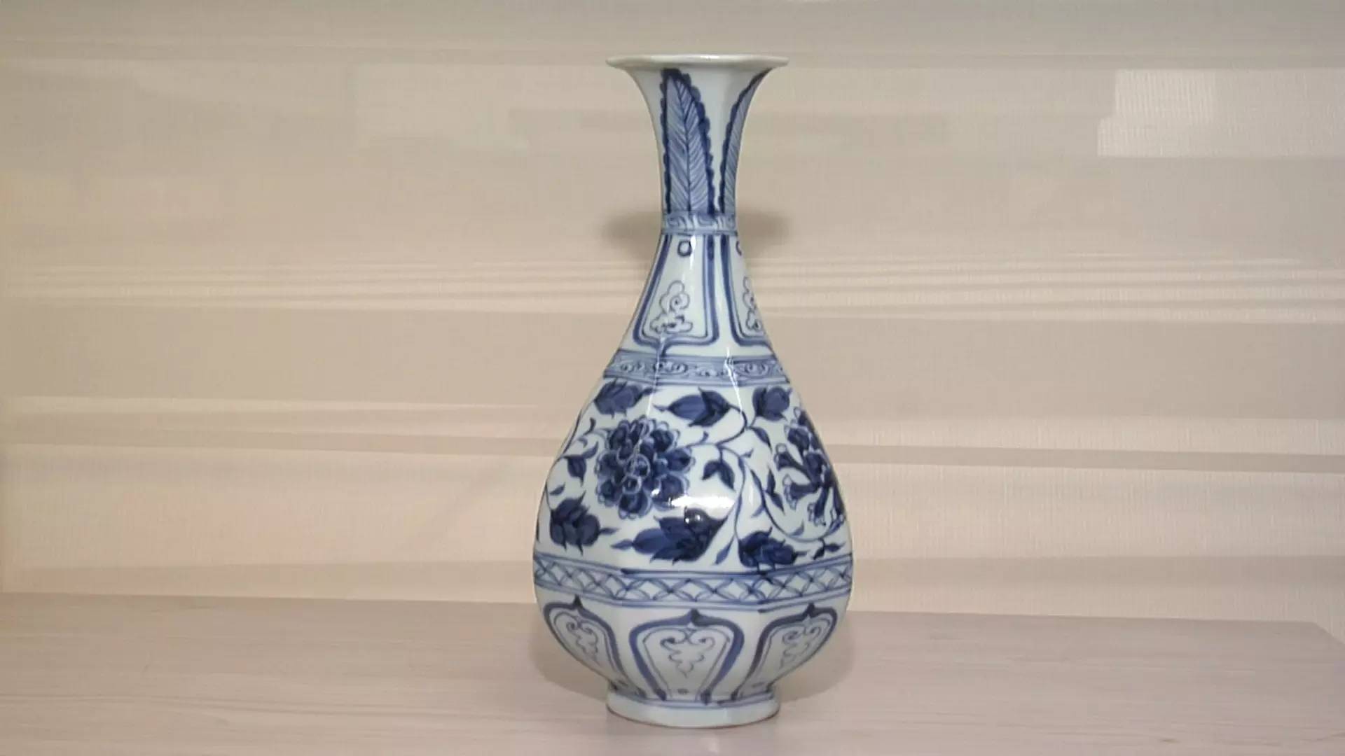 海螺化石鉴定价值,海螺化石鉴宝视频