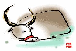 女虎婚配最佳属相,羊的最佳婚配属相