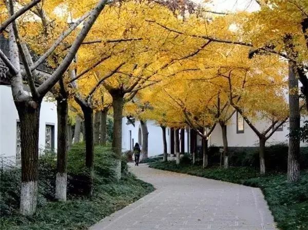 镇江有轨电车,镇江有名的塔叫什么塔