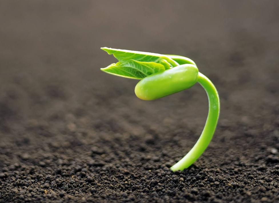 经常被小人欺负该怎么办,经常被人欺负的人适合干什么