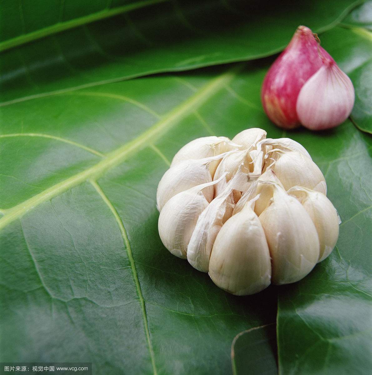 女生吃比较好的东西美容养生,女性吃这些让自己越来越漂亮