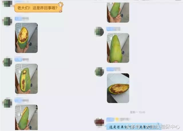 还没熟透的芒果切开后怎么办,芒果切开中间软烂