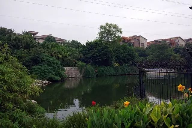 成都市龙泉驿区龙城一号户型图,成都市龙泉新楼盘价格