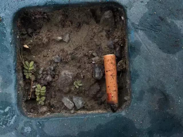 在上海正常抽什么烟,在上海什么烟抽的人多