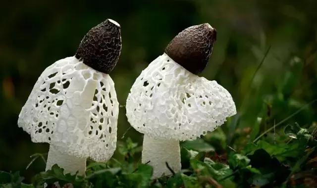 四川广元哪里最美,广元最惊艳的地方