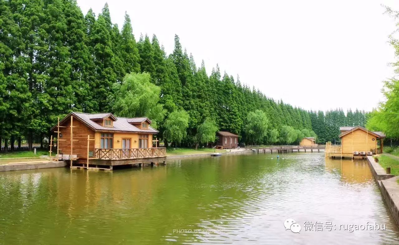 iphonex全新正品,iphonex正式开售时间