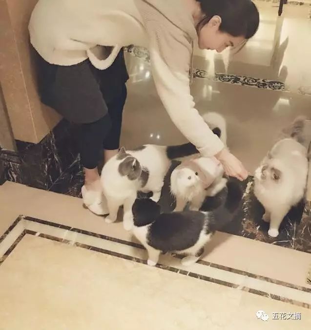 巨钻,巨钻多少钱一颗