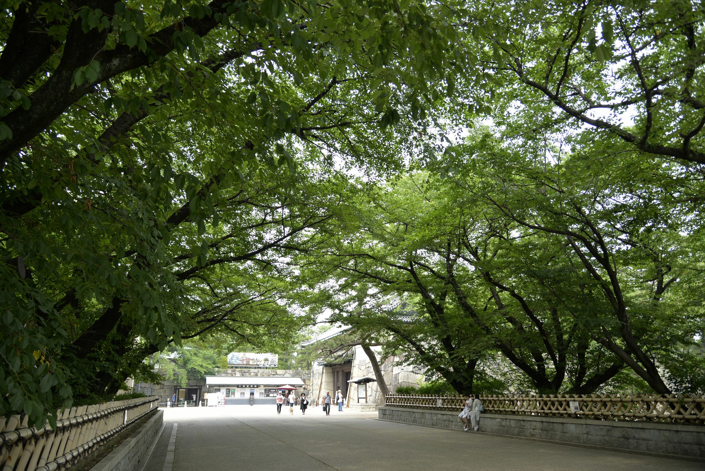 名古屋有意思吗,名古屋是不是日本的古都