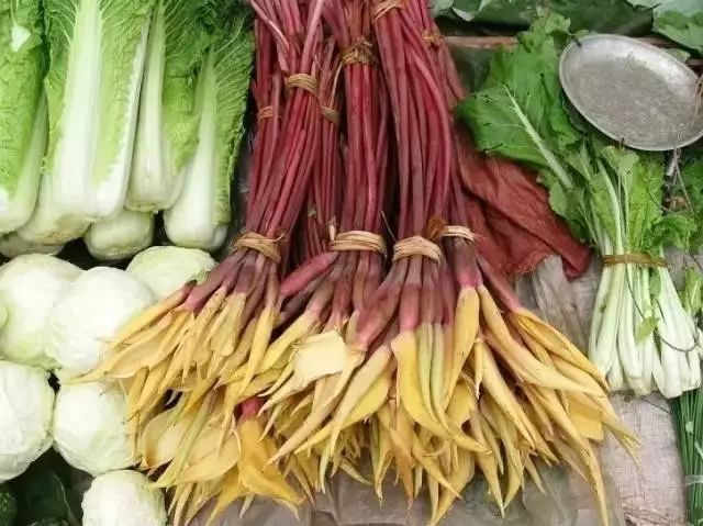 香芋和芋头的区别口感,海芋芋头的区别