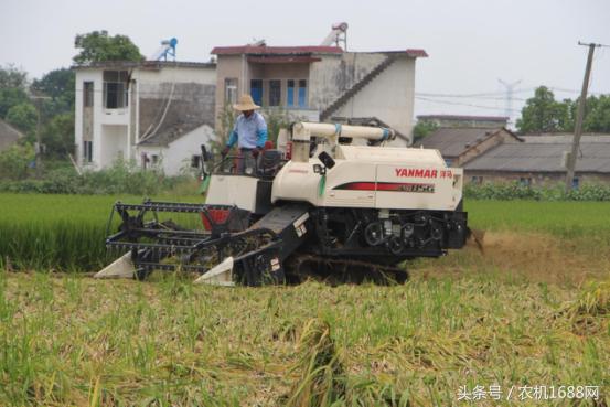 洋马收割机操作全过程,洋马收割机第一视角