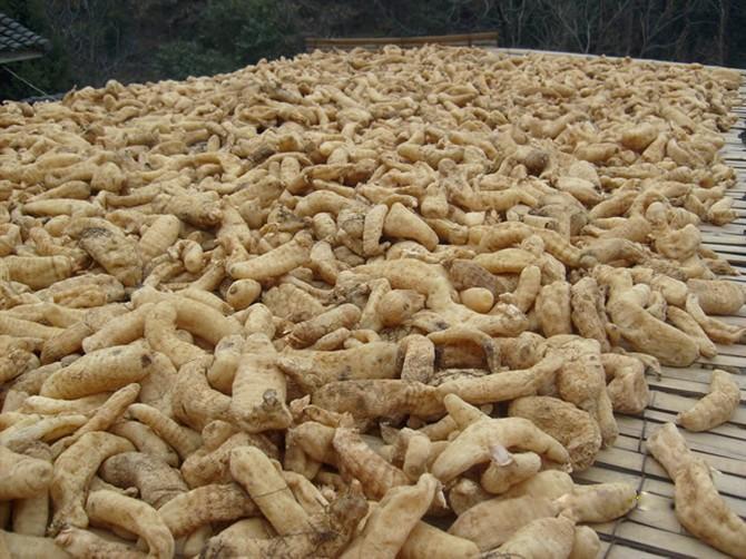 商洛景区当地小吃特产,商洛地区哪个县的特产最好