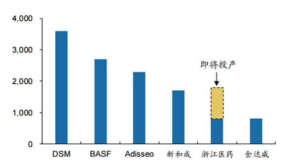 安踏海外布局,下一个安踏