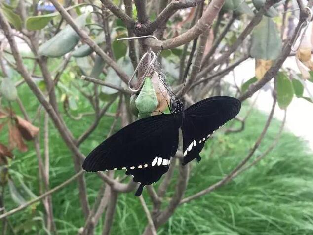 合肥瓜牛公园丛林探险,合肥瓜牛公园到底好不好玩