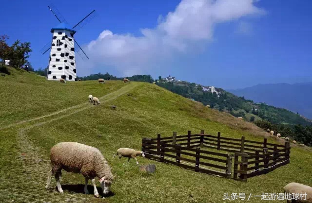 台湾八天自由行攻略,台湾亲子自由行攻略