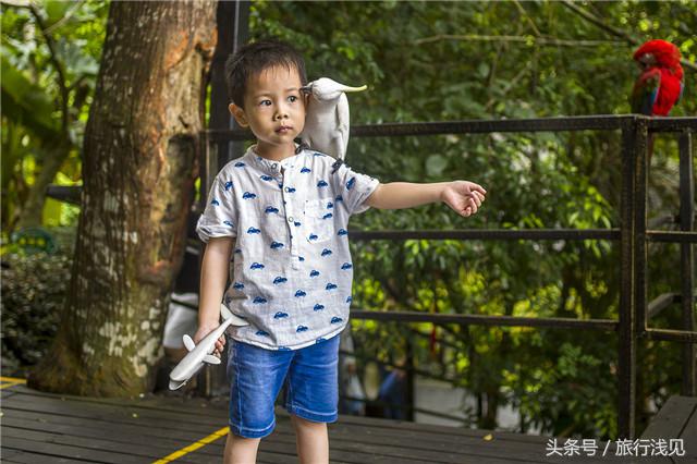 陪伴才是对孩子最好的祝福,陪伴才是给孩子最好的教育