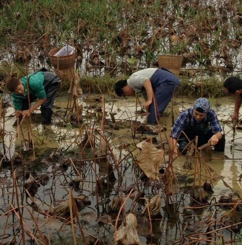 爸爸去哪儿你不知道的事,爸爸去哪儿真心话问答
