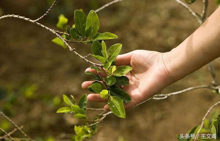 自伤自残后果自负,自伤自残的后果