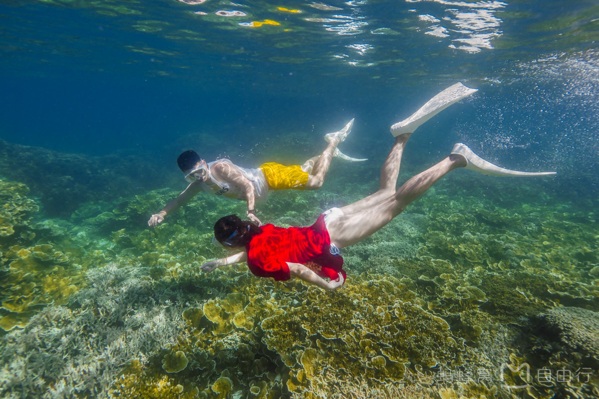 帕劳出海环岛旅游攻略,帕劳旅行攻略大全最新