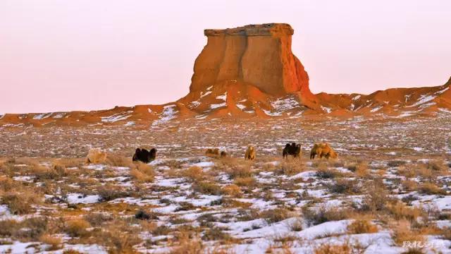 内蒙古数学水平,巴彦淖尔数学