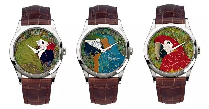 腕上鸟类图鉴｜谁是颜值之巅？