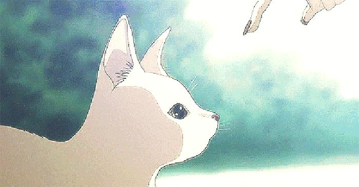 国货到底值不值得入手,最便宜的国货多少钱