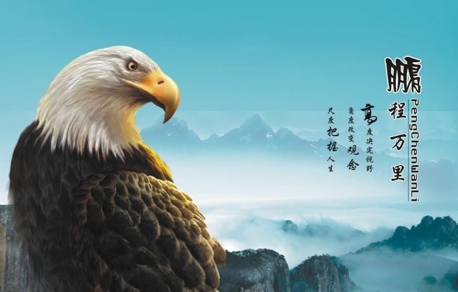 大鹏瞻职（74）能动手就别瞎叨叨！我所体验到的体验式学习体验