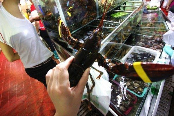 北纬18度的爱意味着什么,北纬18度的爱