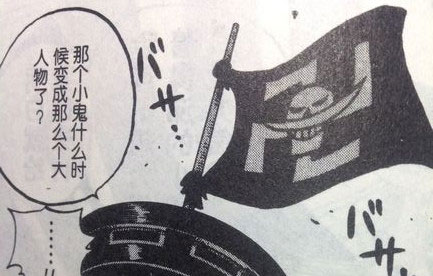 海贼王最吸引的片段,海贼王最吸引你的是什么