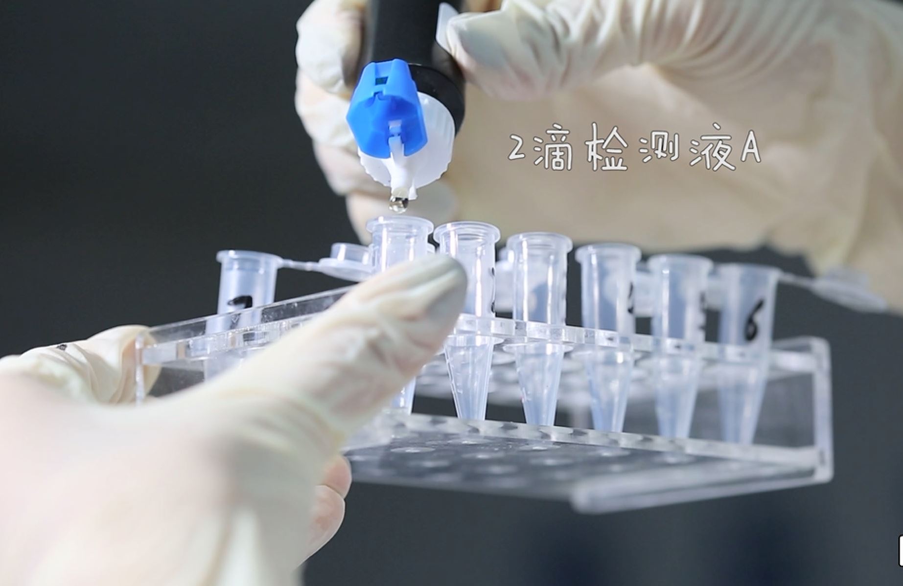 美容养颜祛斑的玫瑰花茶,美容养颜玫瑰花茶