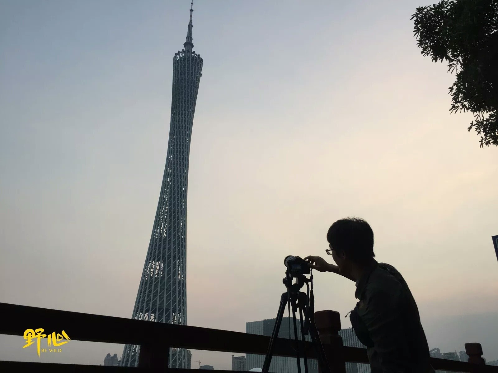 跨性别女士纪录片,跨性别纪录片男变女