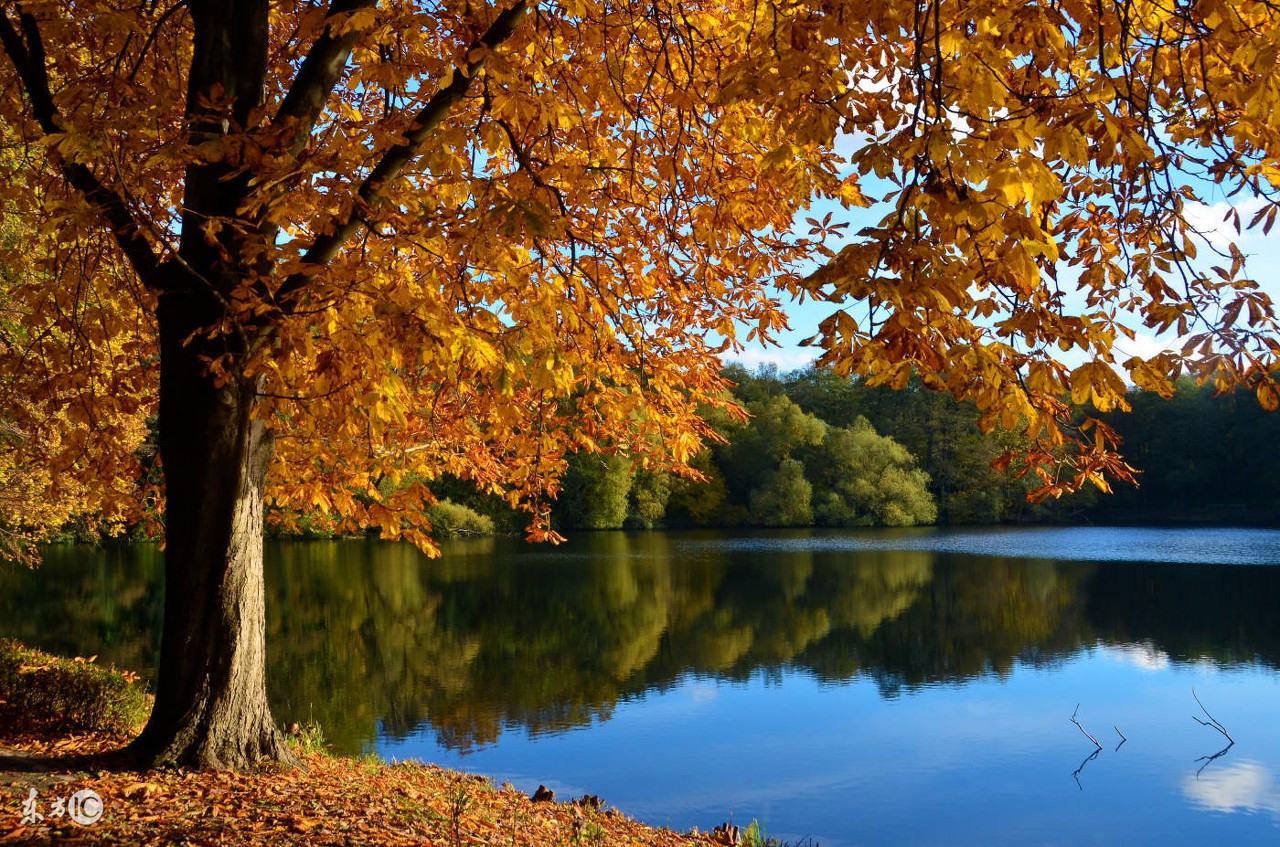 秋分问候祝福语微信,秋分早上好问候图文