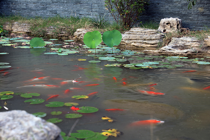 天津大学建筑设计院的团建之旅