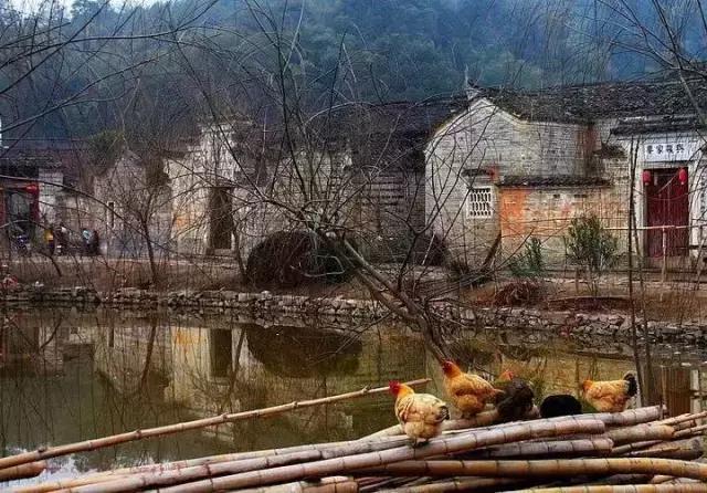 赣州最美村落旅游攻略,与江西邻省的地方哪些好玩