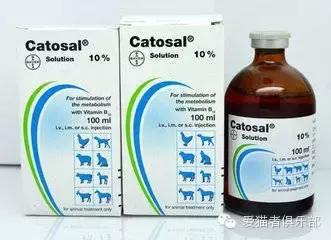 猫咪药品推荐,猫咪平替药品