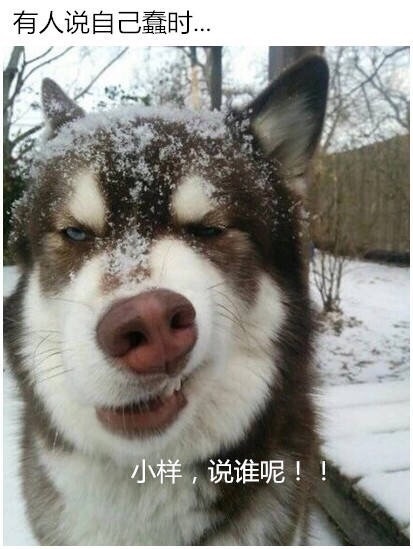 员工辞职理由怎么写,员工辞职申请需要审批吗