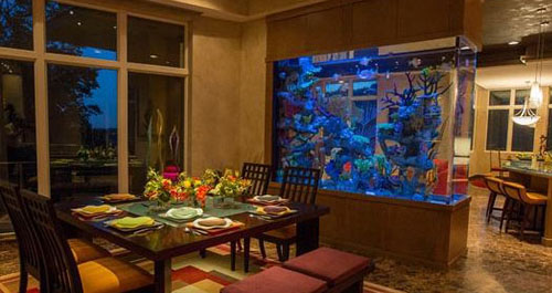 买鱼缸怎么选最好的鱼缸,新手怎么挑选一款好点的鱼缸